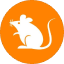 rats